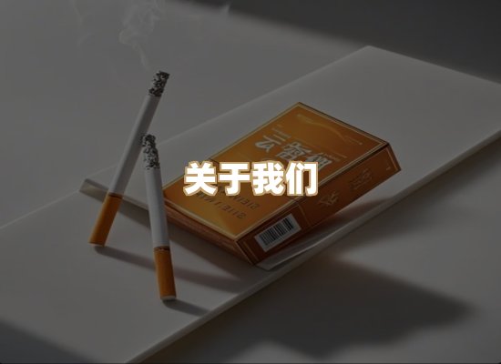 关于蓝帝网